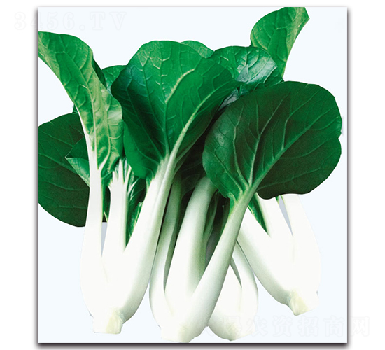 �s�����~�ײ�-�ײ˷N��-�F(xi��n)������