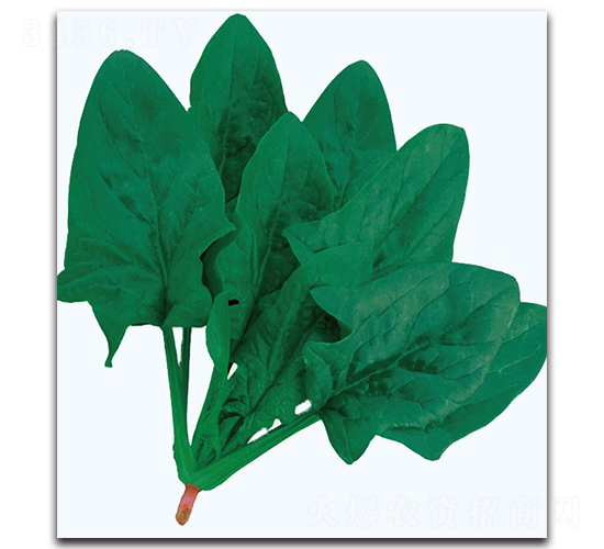 ����G����-���˷N��-�F(xi��n)������