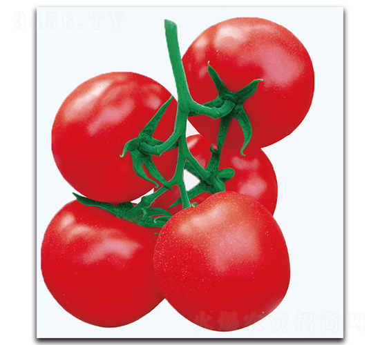 ��������-���ѷN��-�F(xi��n)������