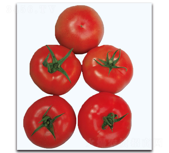 ��ܷ���-���ѷN��-�F(xi��n)������