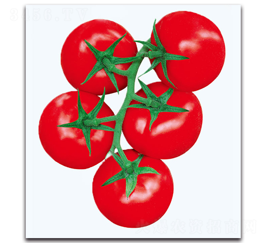 ����032����-���ѷN��-�F(xi��n)������