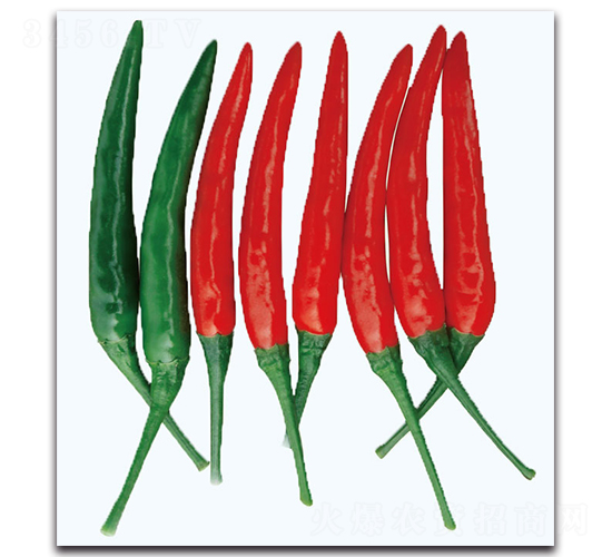 ��t����-�����N��-�F������