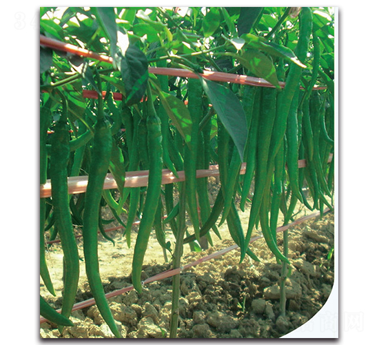 ��S��������-�����N��-�F(xi��n)������