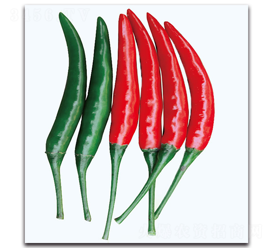 �t������-�����N��-�F(xi��n)������