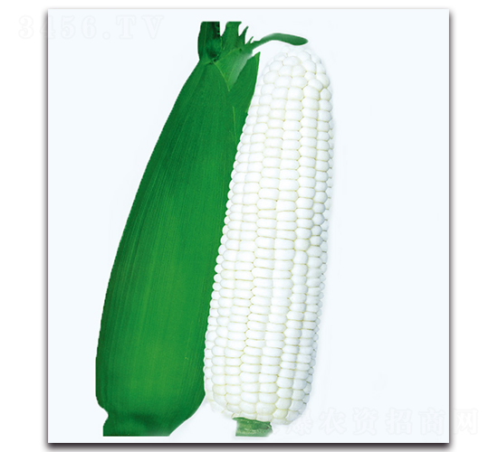 ��Ŵ2̖����-Ŵ���׷N��-�F(xi��n)������