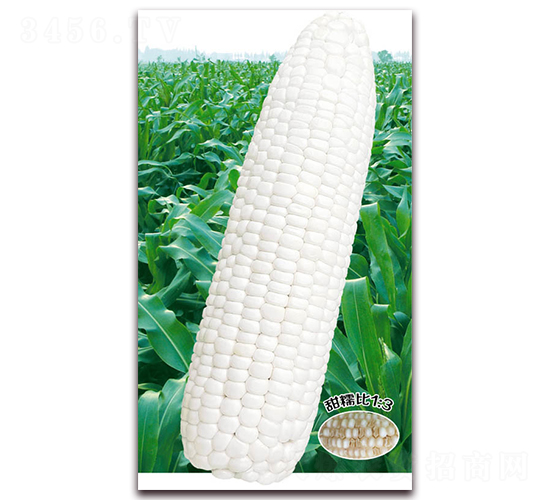 �fŴ908-Ŵ���׷N��-�A��N�I(y��)