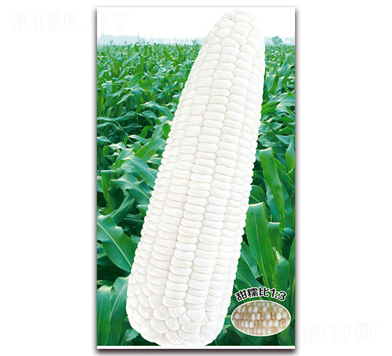 �f(w��n)Ŵ188-Ŵ���׷N��-�A��N�I(y��)