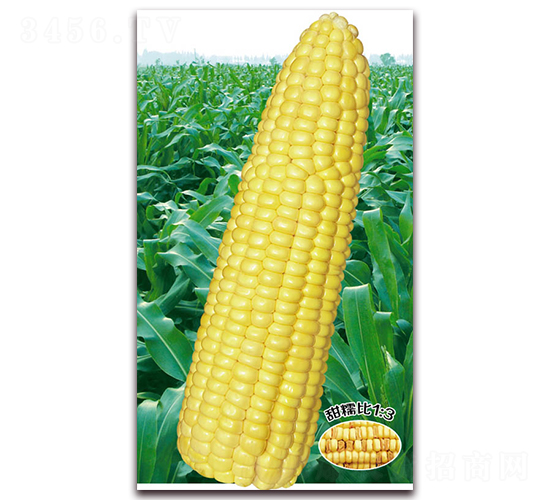 �f�S��Ŵ1015-Ŵ���׷N��-�A��N�I(y��)