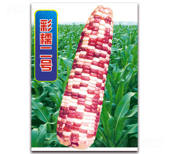 ��Ŵ��̖(h��o)-Ŵ���׷N��-�A��N�I(y��)