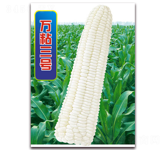 �fճ��̖-Ŵ���׷N��-�A��N�I(y��)