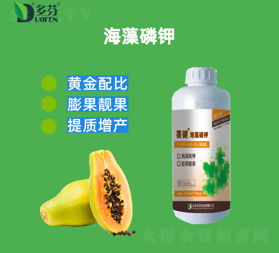 �������-ϲ��-����r(n��ng)�I(y��)