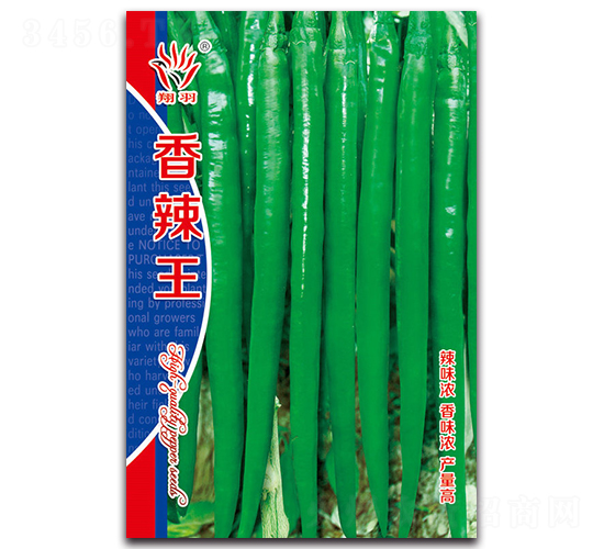 ������-�����N��-���ܷN�I(y��)