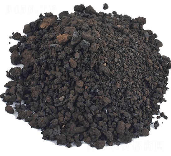 ��ֲ�����-�𺣵|