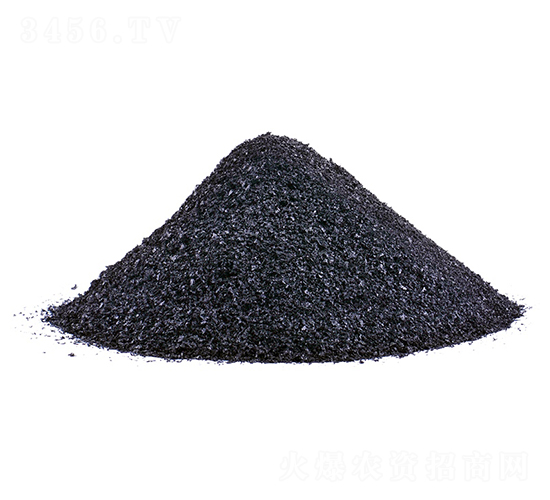 Ƭ�ֲ���-�𺣵|