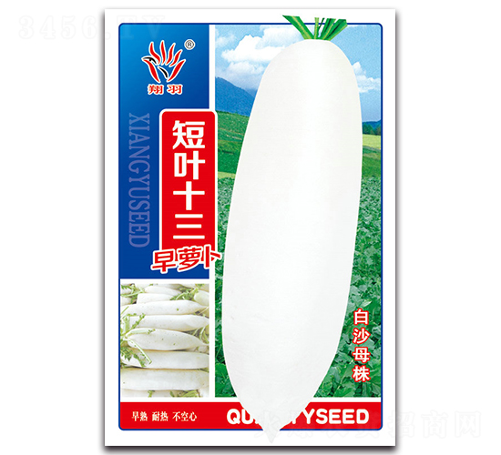 ���~ʮ�����}��-�}���N��-���ܷN�I(y��)