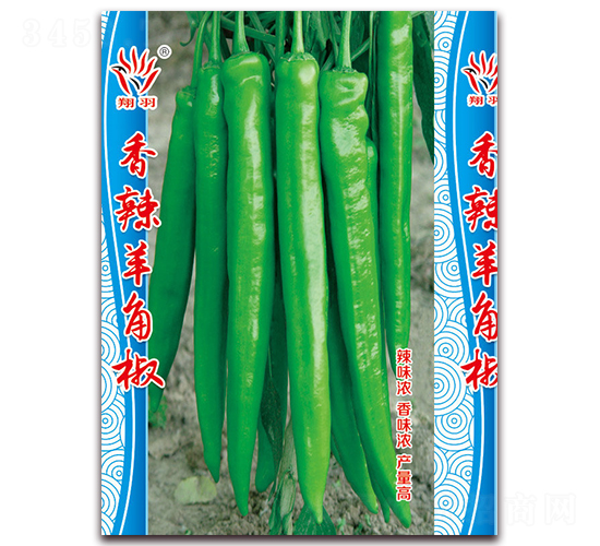 ����������ǽ�-�����N��-���ܷN�I(y��)