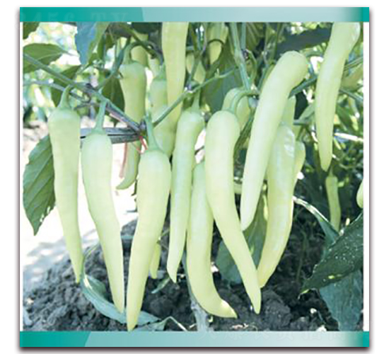 ����1̖(h��o)-�����N��-���ܷN�I(y��)