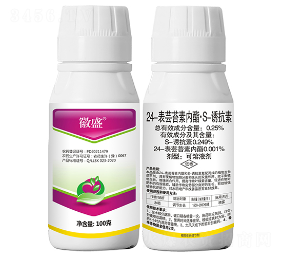 24���|̦�؃�(n��i)����S-�T���أ�100�ˣ�-΢ʢ-���r(n��ng)����