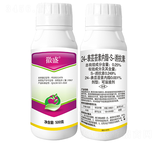 24���|̦�؃�(n��i)����S-�T���أ�500�ˣ�-΢ʢ-���r(n��ng)����