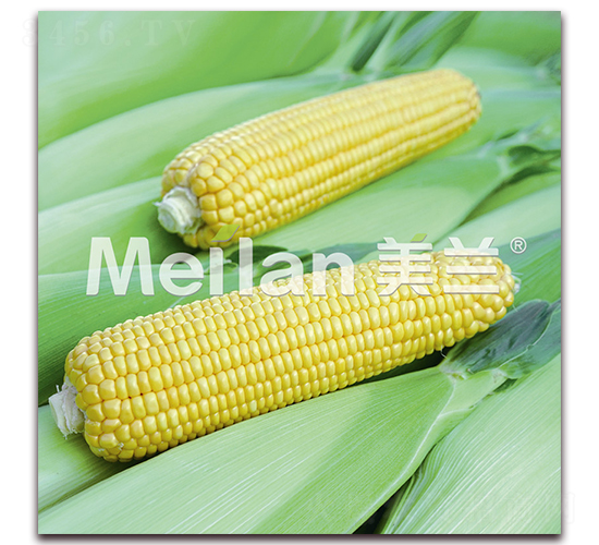 ������009-�����׷N��-�G��