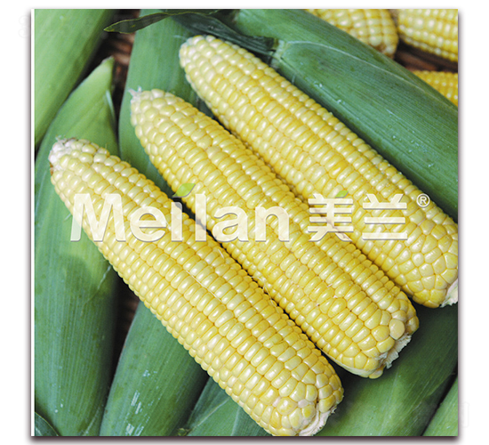 ������002-�����׷N��-�G��