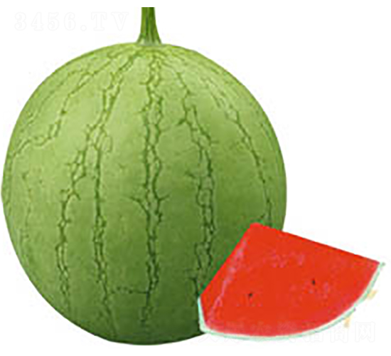 ����-���ϷN��-���߷N�I(y��)