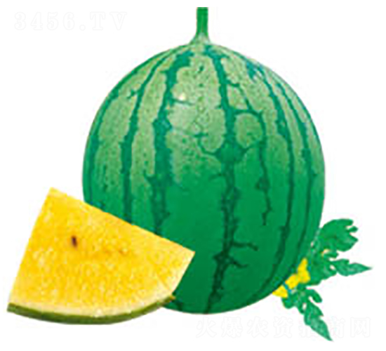 ��С�m-���ϷN��-���߷N�I(y��)