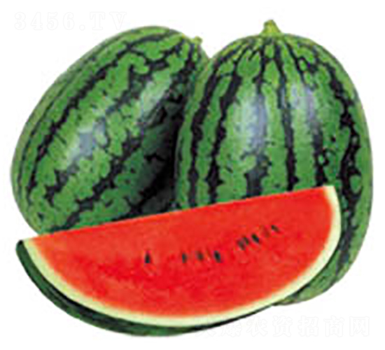 ȫ��2K-���ϷN��-���߷N�I(y��)