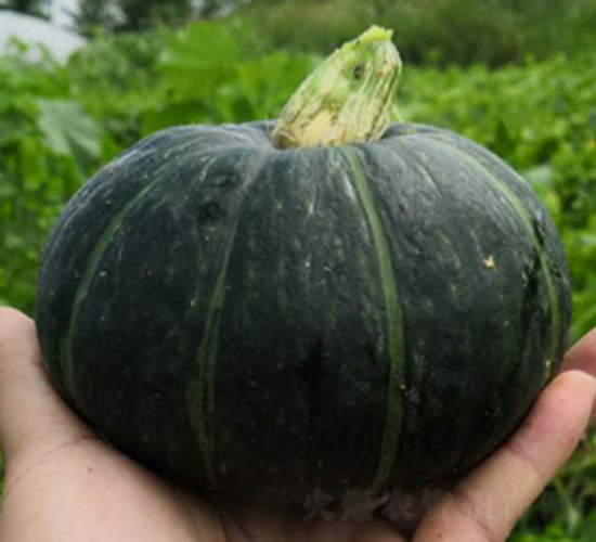 ؐ��һ̖-�ϹϷN��-���R�r�I(y��)