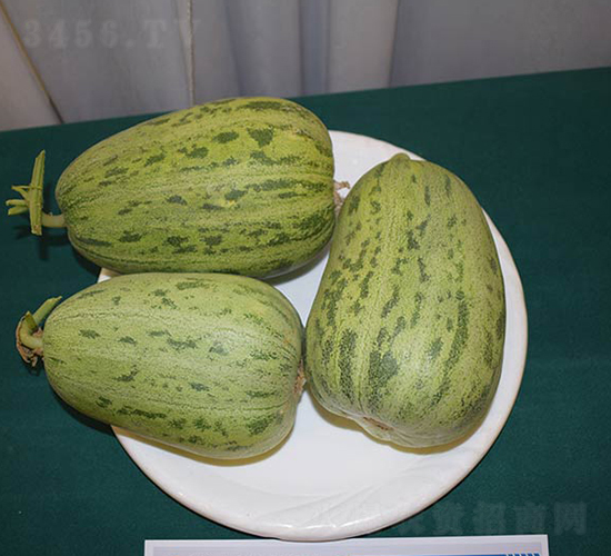 ������̖-��ϷN��-���R�r(n��ng)�I(y��)