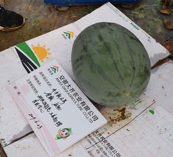 ���R��̖��ԭ�R�S����̖��-���ϷN��-���R�r(n��ng)�I(y��)