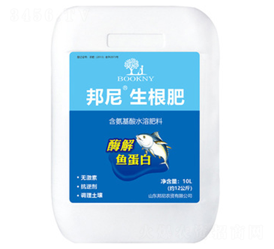 ø���~����-����������-����