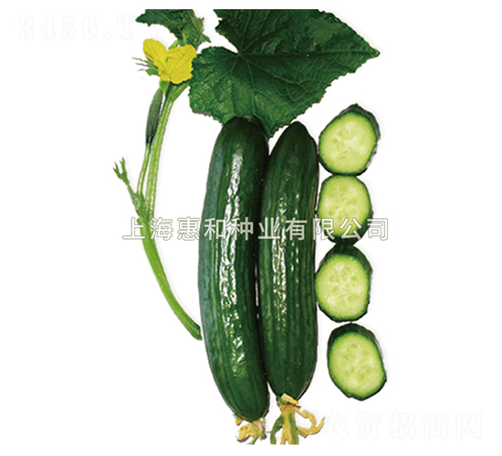 ����-�S�ϷN��-�ݺͷN�I(y��)