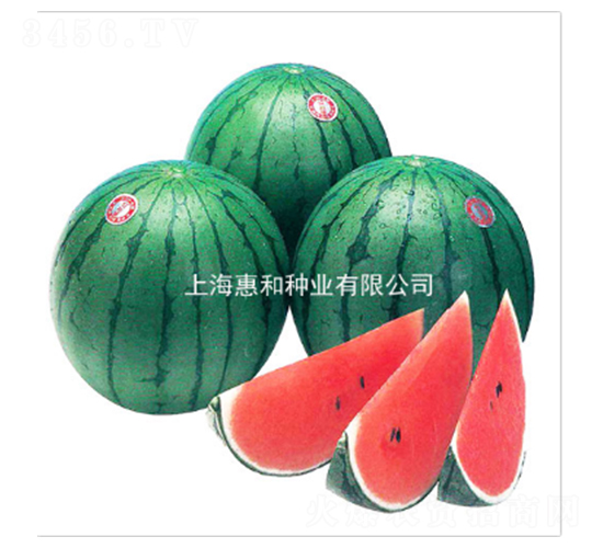 �tС��-���ϷN��-�ݺͷN�I(y��)