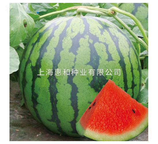 δ��08-���ϷN��-�ݺͷN�I(y��)