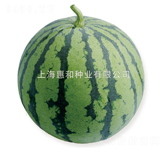 �޷�-���ϷN��-�ݺͷN�I(y��)