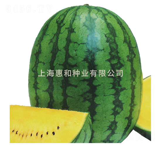 �紺�S��-���ϷN��-�ݺͷN�I(y��)