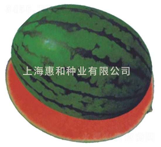 �f����-���ϷN��-�ݺͷN�I(y��)