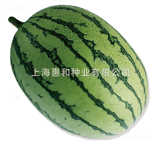 �紺�t���̖-���ϷN��-�ݺͷN�I(y��)