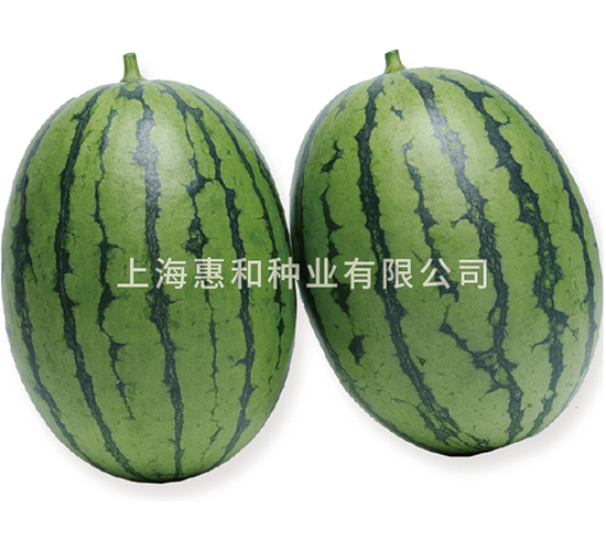 �紺�t��-���ϷN��-�ݺͷN�I(y��)