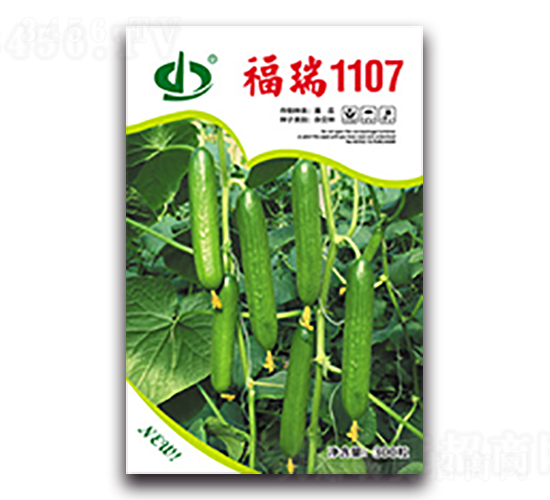 ����1107-�S�ϷN��-����N��