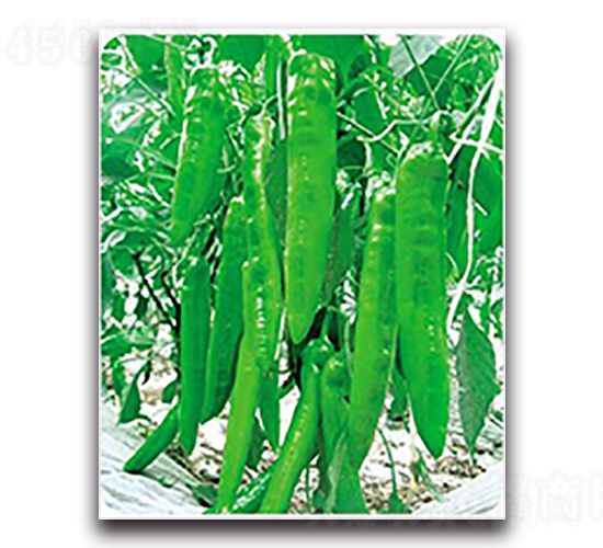 �°���-�����N��-����N��