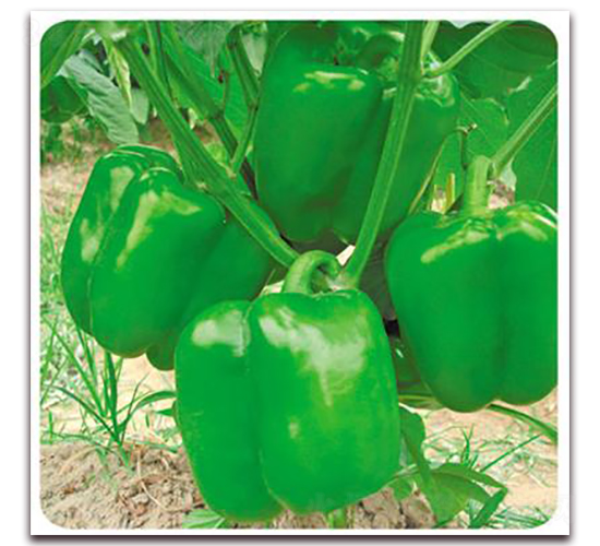 �W��-�����N��-����N��