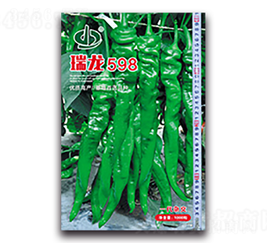 ����598-�����N��-����N��