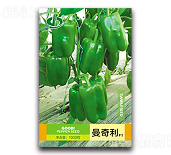 ������-�����N��-����N��