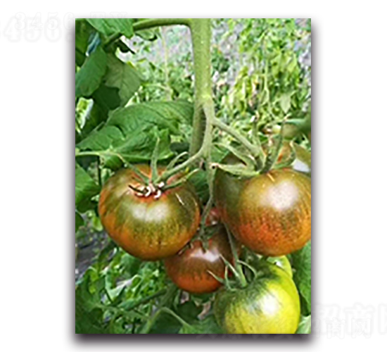 �G��(y��u)��-���ѷN��-����N��