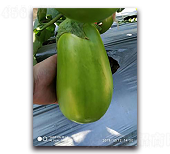 ����5̖(h��o)-���ӷN��-����N��