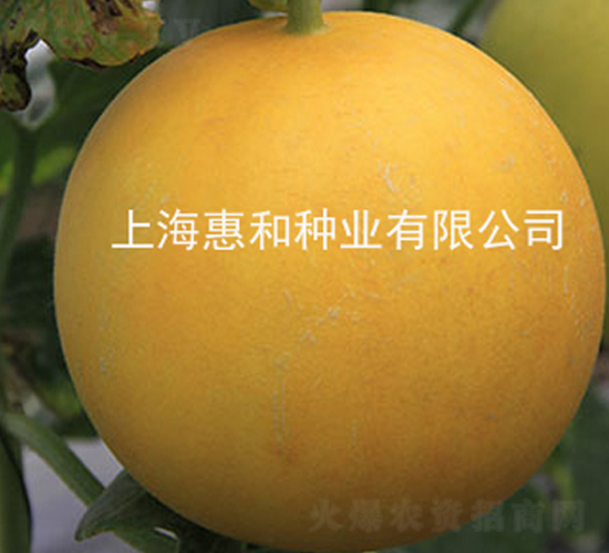 �����̖-��ϷN��-�ݺͷN�I(y��)