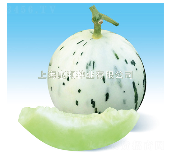 �G¶-��ϷN��-�ݺͷN�I(y��)