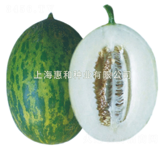 �G��83-��ϷN��-�ݺͷN�I(y��)